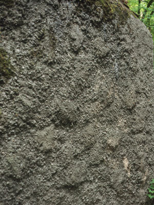 Waldtarnung: aufgerauhte Wand