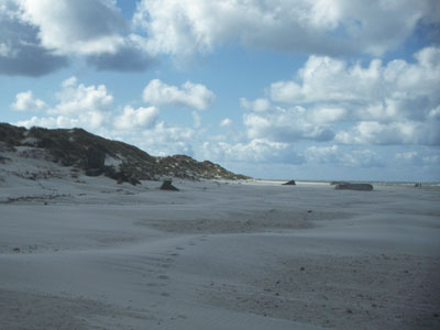 Der Strand nrdlich vom Blaavandshuk