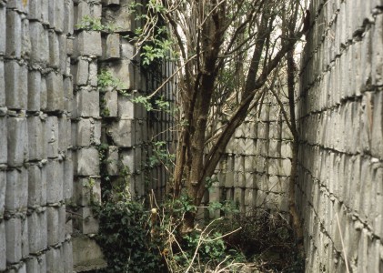 R 679 Mitte West - noch zu schalende Außenwand Ost