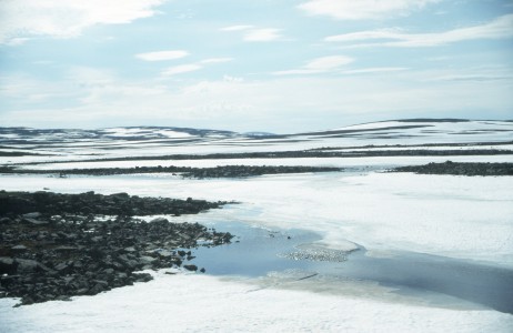 Das norwegische Fjell im Frhsommer