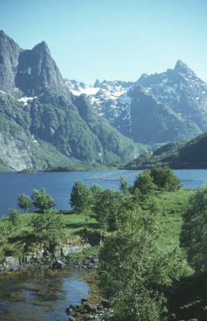 Ankunft auf den Lofoten von Melbu aus