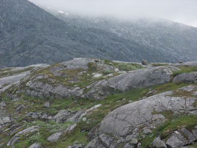 Heute berbaute Bettung auf dem Bjrnfjell 